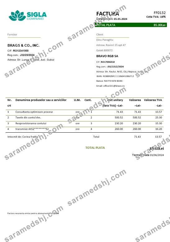 Romania SIGLA COMPANIEI business utility bill template in Word and PDF formats